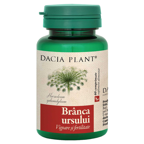 Branca Ursului Dacia Plant, vigoare, fertilitate, vitalitate, afrodisiac